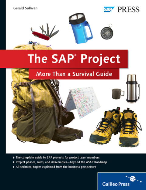 Cover image for book The SAP Project