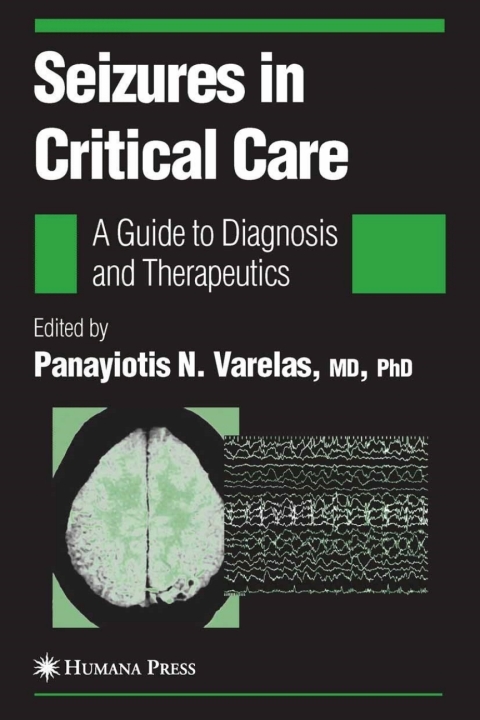 Cover image for book Seizures in Critical Care