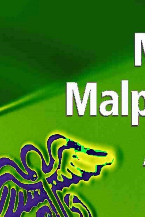 Cover image for book Medical Malpractice