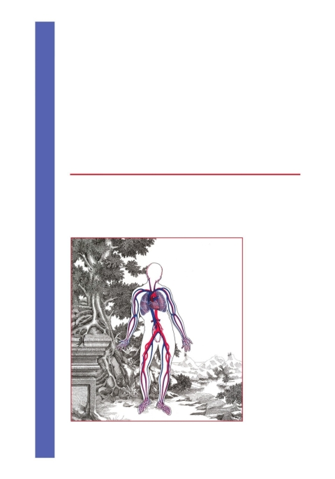 Cover image for book Essential Cardiology