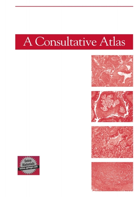 Cover image for book Lung Pathology