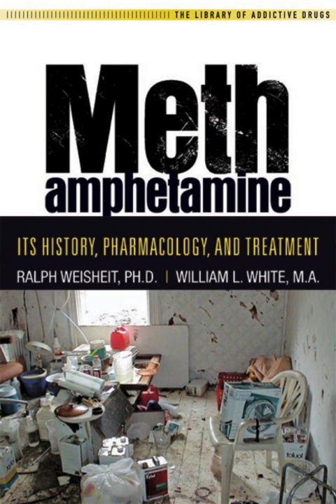 Cover image for book Methamphetamine