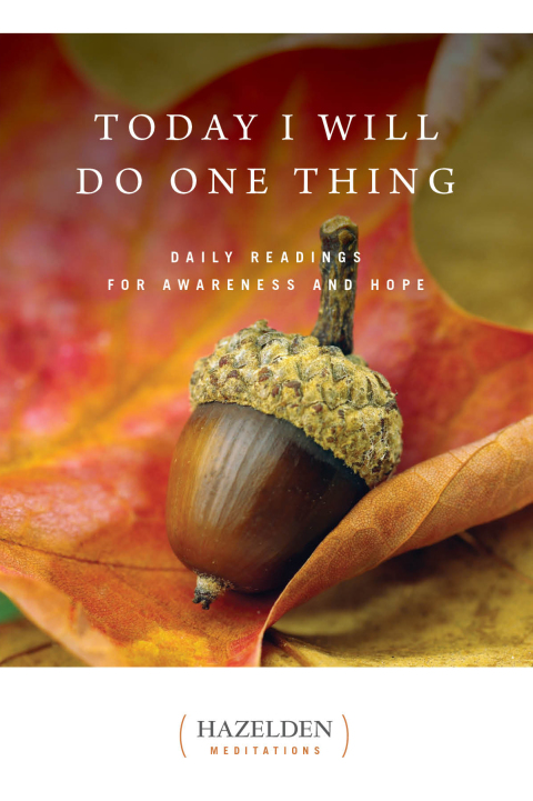 Cover image for book Today I Will Do One Thing