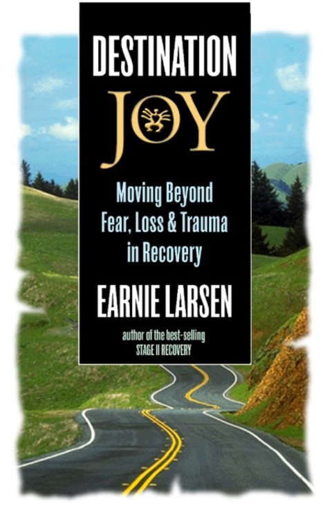 Cover image for book Destination Joy