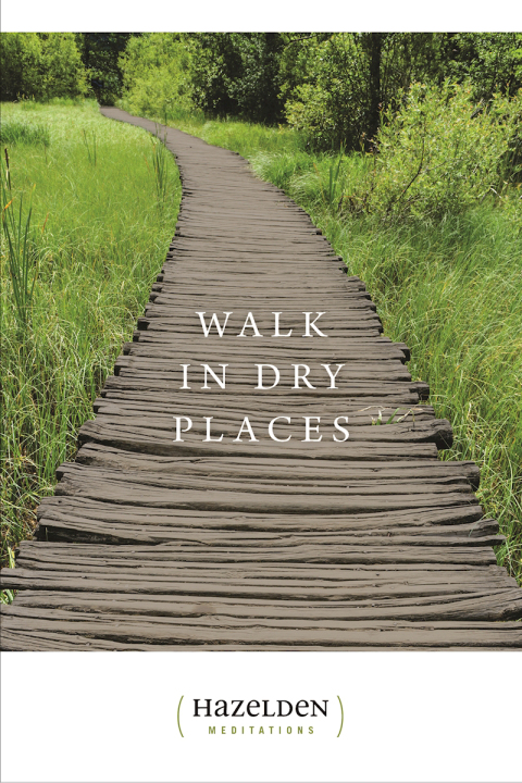 Cover image for book Walk in Dry Places