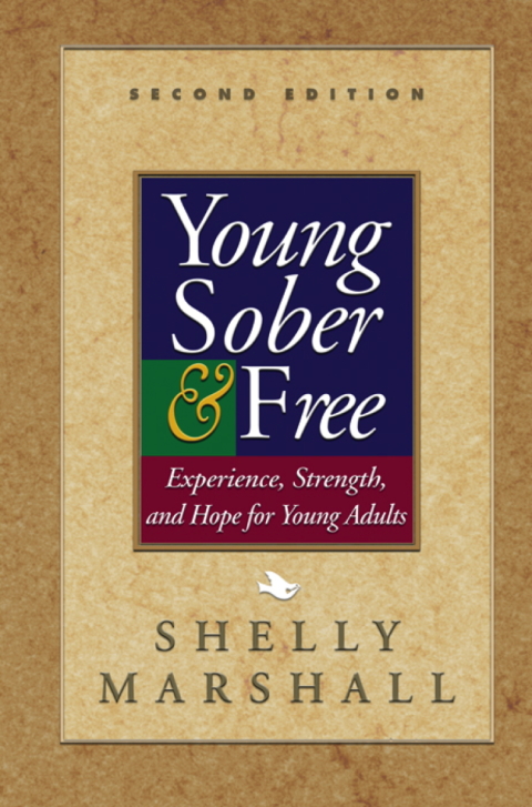 Cover image for book Young Sober and Free