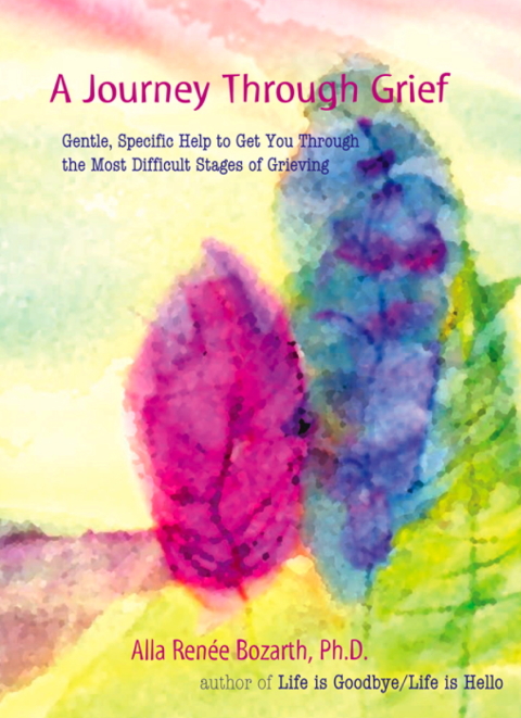 Cover image for book A Journey Through Grief