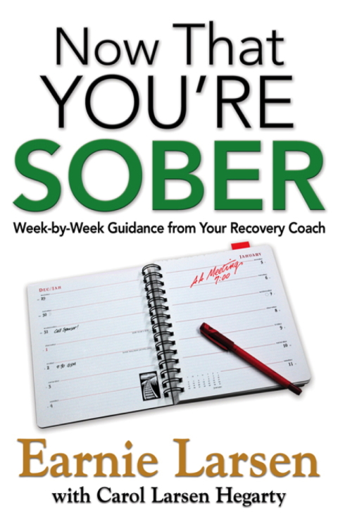 Cover image for book Now That You're Sober