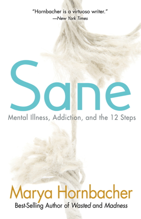 Cover image for book Sane