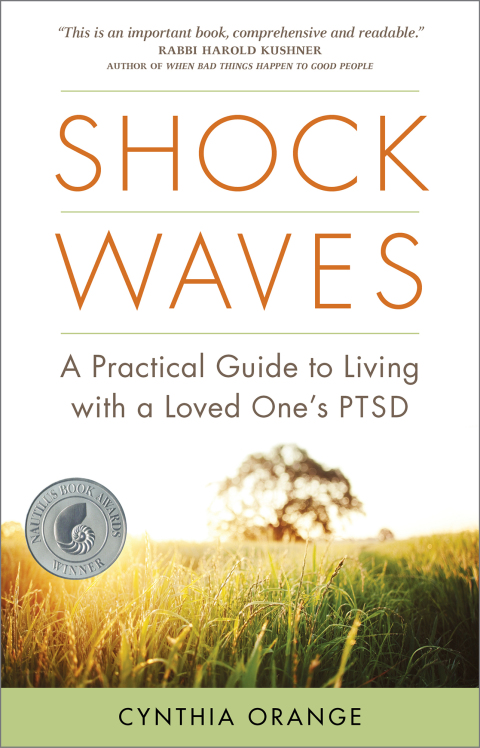Cover image for book Shock Waves