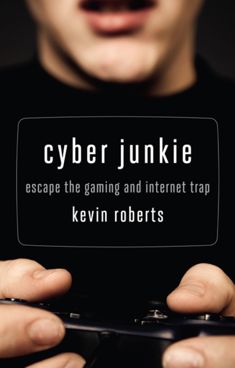 Cover image for book Cyber Junkie
