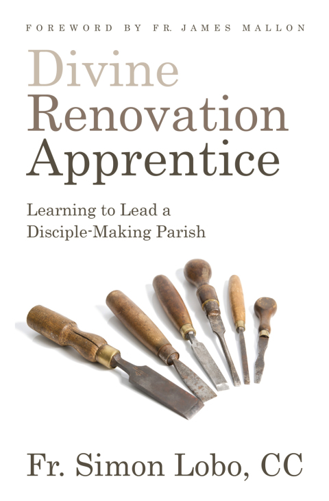Cover image for book Divine Renovation Apprentice