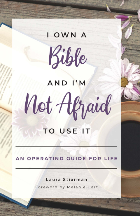 Cover image for book I Own a Bible and I’m Not Afraid to Use It