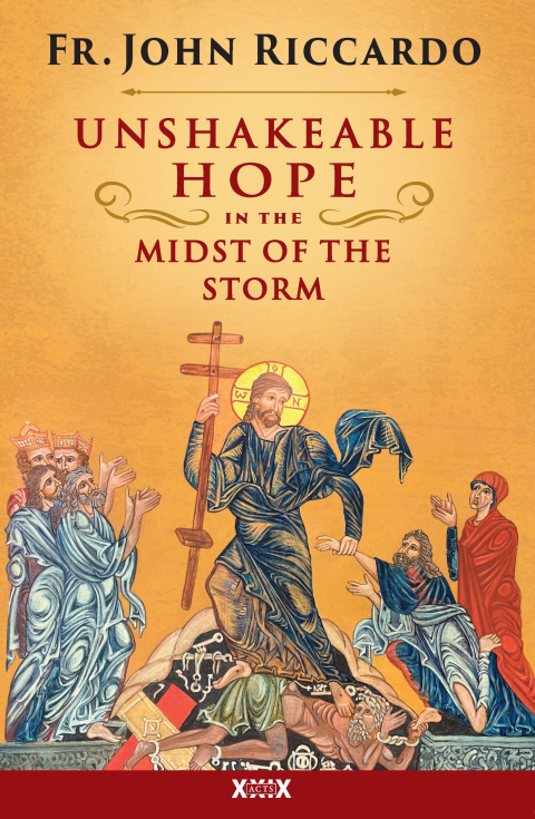 Cover image for book Unshakeable Hope in the Midst of the Storm