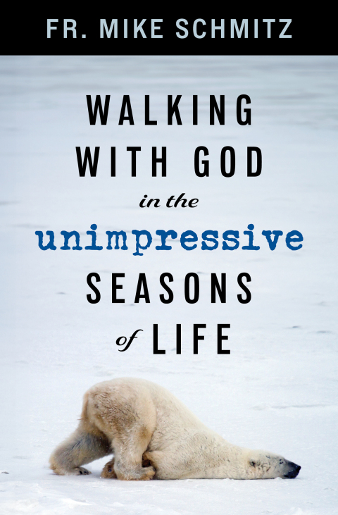 Cover image for book Walking with God in the Unimpressive Seasons of Life