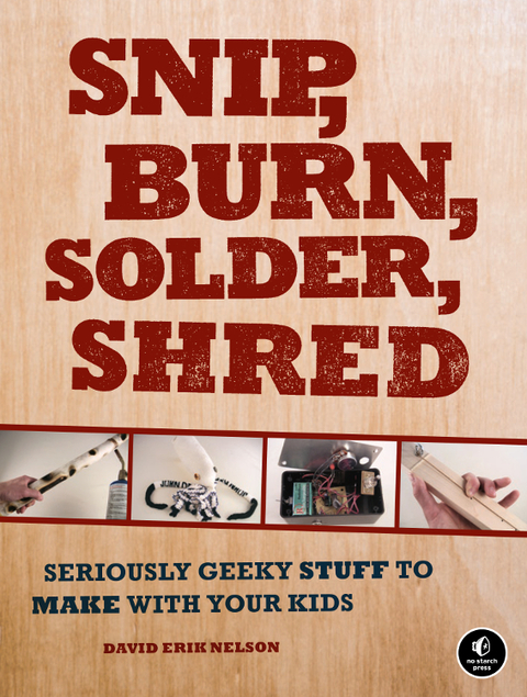 Cover image for book Snip, Burn, Solder, Shred