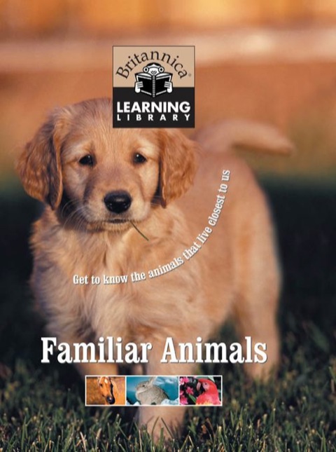 Cover image for book Familiar Animals