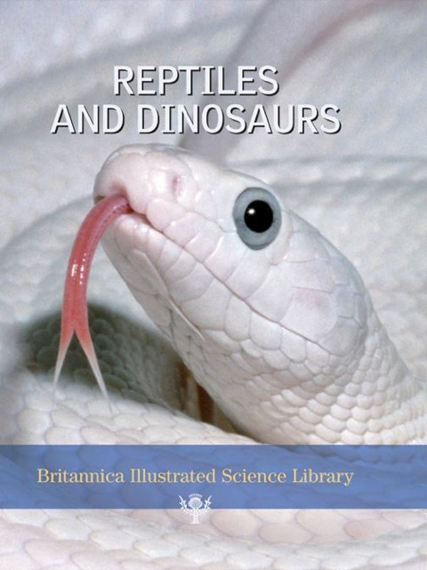 Cover image for book Reptiles and Dinosaurs