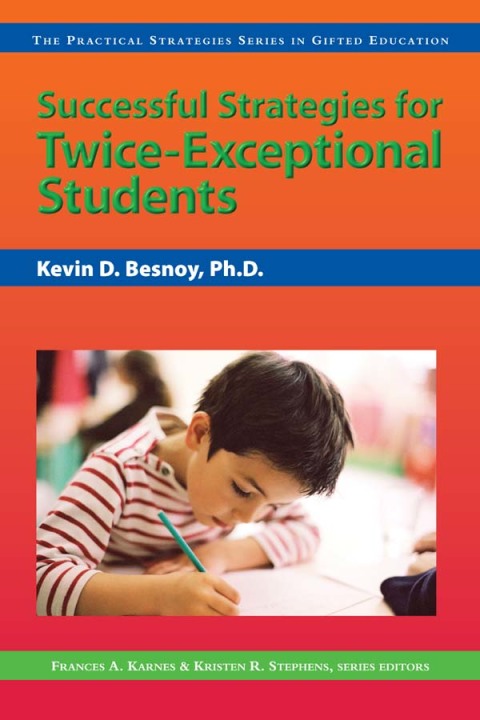 Cover image for book Successful Strategies for Twice-Exceptional Students