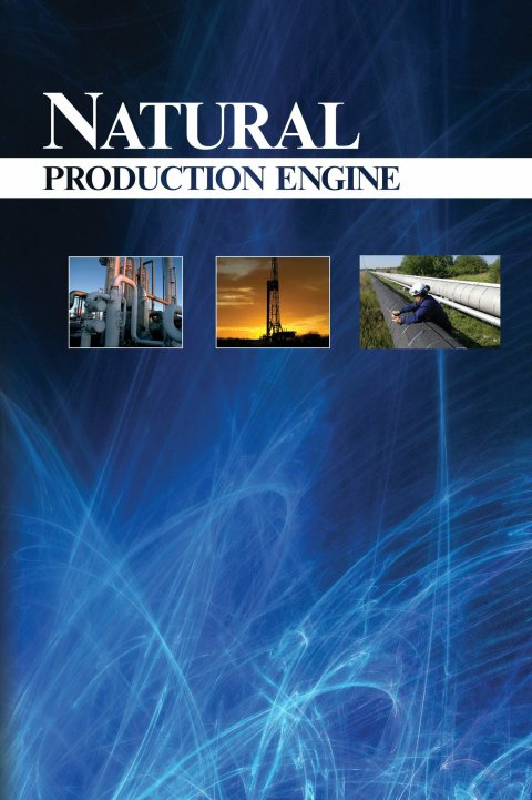 Cover image for book Natural Gas Production Engineering