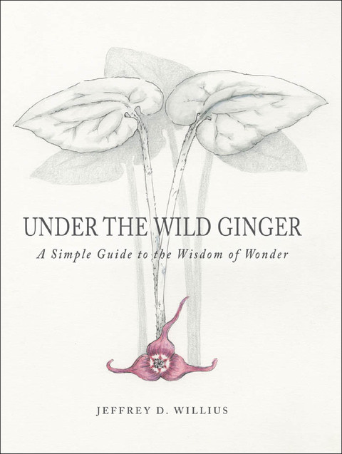 Cover image for book Under the Wild Ginger
