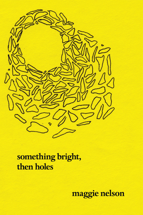 Cover image for book Something Bright, Then Holes