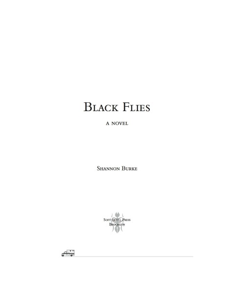 Cover image for book Black Flies