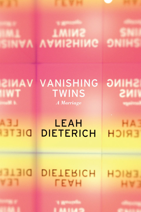 Cover image for book Vanishing Twins