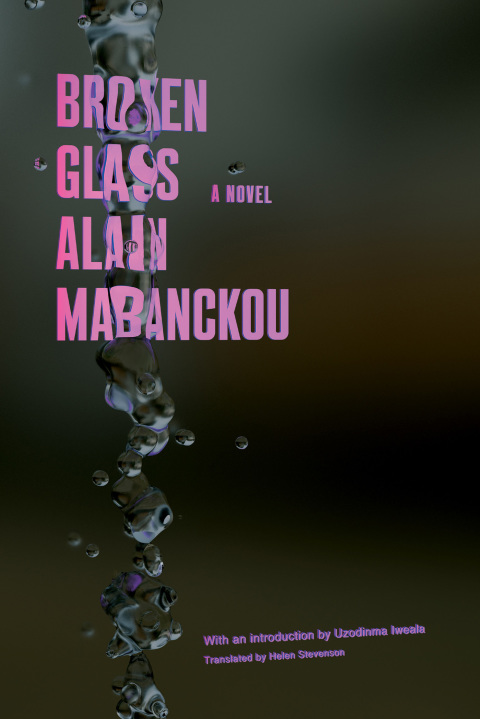 Cover image for book Broken Glass