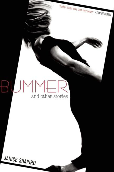 Cover image for book Bummer