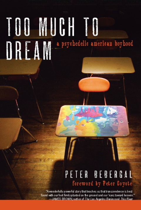Cover image for book Too Much to Dream