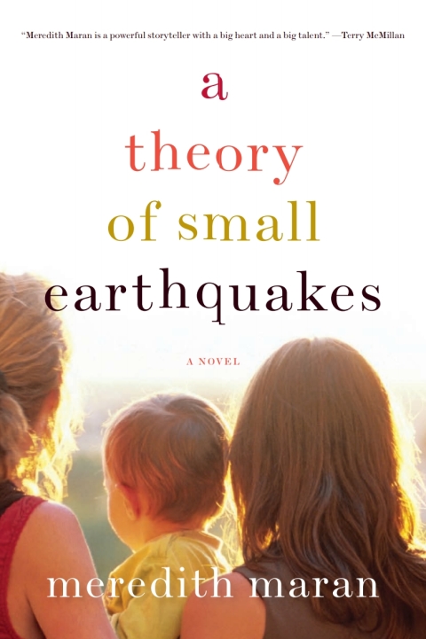 Cover image for book A Theory of Small Earthquakes