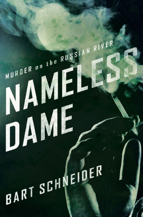 Cover image for book Nameless Dame