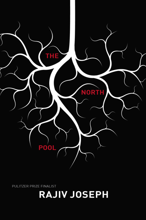 Cover image for book The North Pool