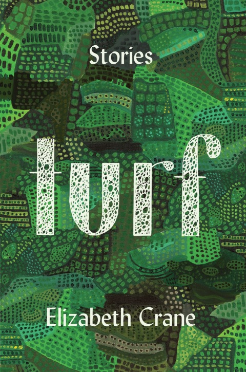 Cover image for book Turf