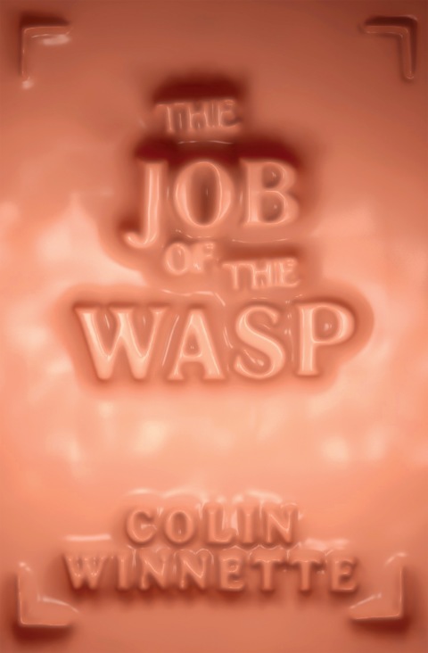 Cover image for book The Job of the Wasp