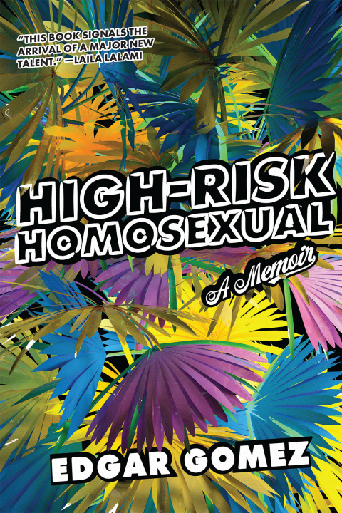 Cover image for book High-Risk Homosexual