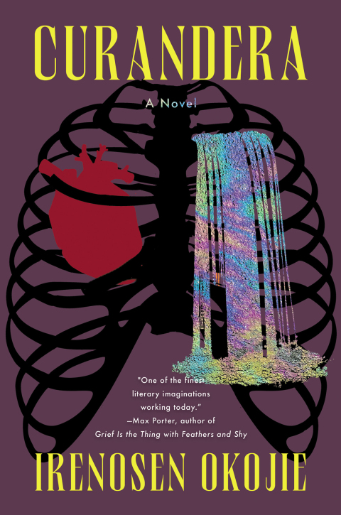 Cover image for book Curandera