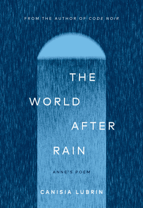 Cover image for book The World After Rain