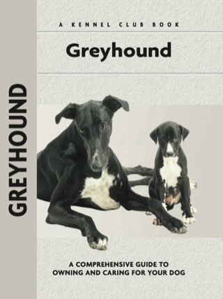 Greyhound