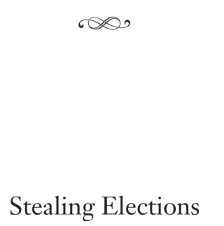 Stealing Elections