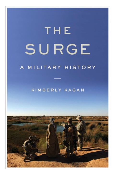Cover image for book The Surge