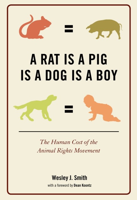 Cover image for book A Rat Is a Pig Is a Dog Is a Boy