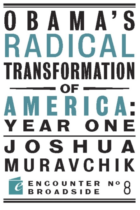 Cover image for book Obama's Radical Transformation of America: Year One