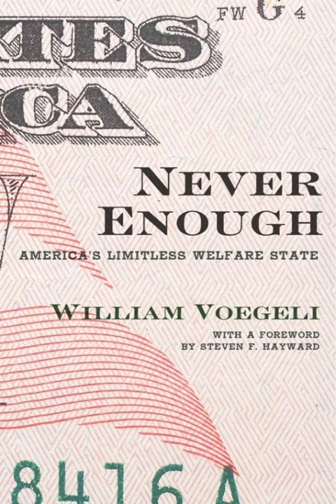 Cover image for book Never Enough