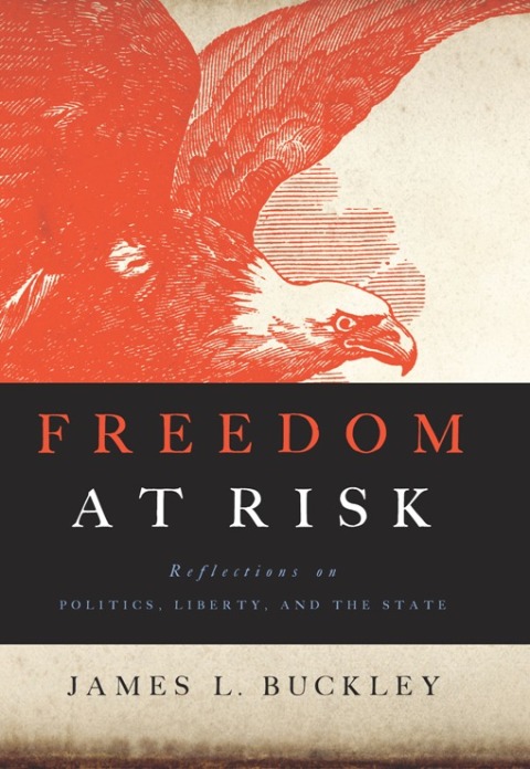 Cover image for book Freedom at Risk