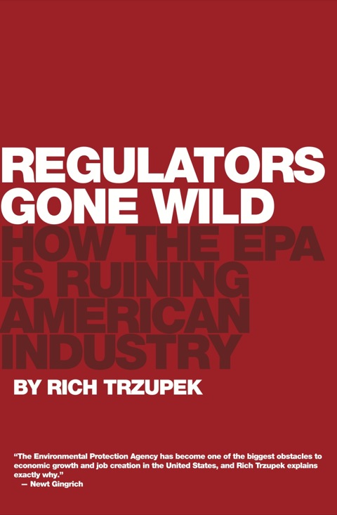 Cover image for book Regulators Gone Wild