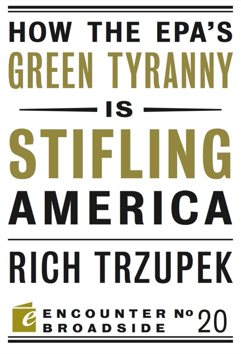 Cover image for book How the EPA?s Green Tyranny is Stifling America