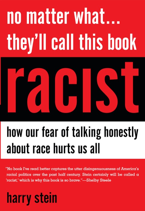 Cover image for book No Matter What...They'll Call This Book Racist