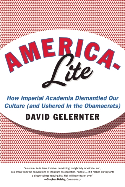 Cover image for book America-Lite